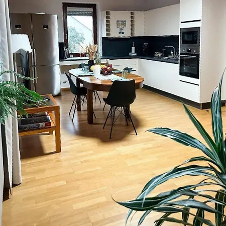 Apartment Sali Homes K39 Monte-carlo -spacious 6-bedroom With Terrace And Garden Views In Ideal For Groups